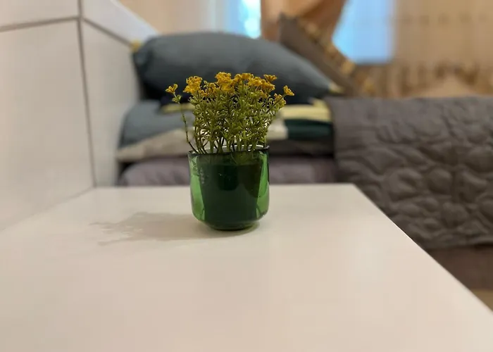 Cozy Apartment In The Centre Of Warsaw