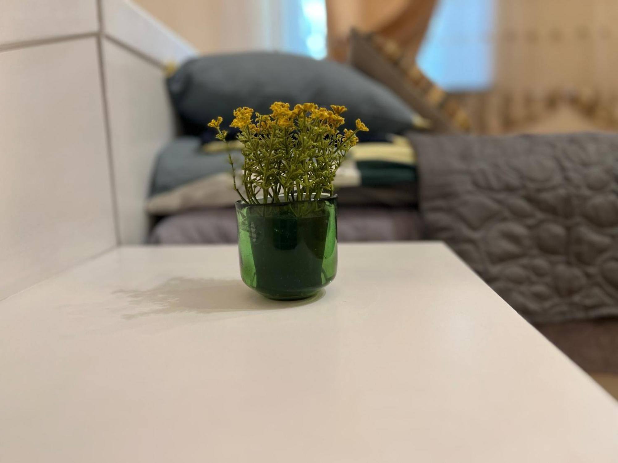 Apartment Cozy In The Centre Of Warsaw